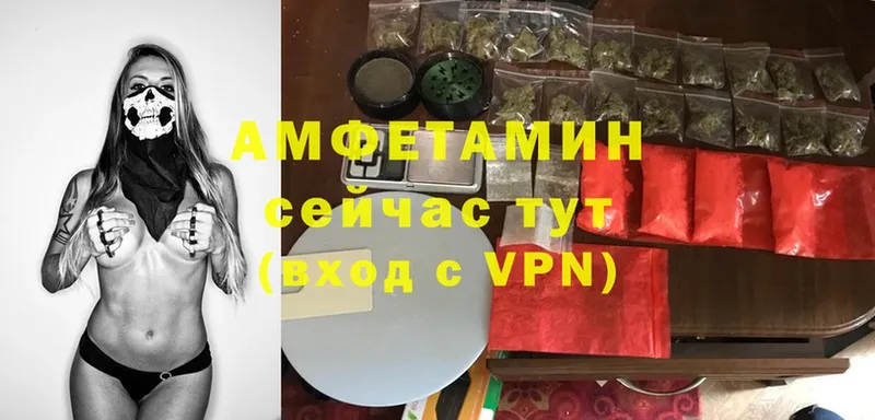 Amphetamine VHQ  как найти закладки  Гатчина 